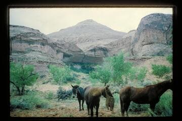 From camp; Roost Canyon