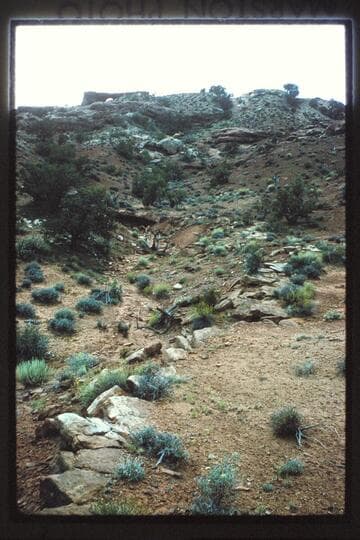 Arch near head of Millard Canyon