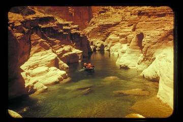 In Havasupai Creek