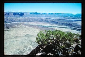 Steer Mesa; Bonita Bend