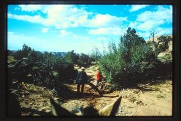 Gate; Horseshoe Canyon to upper pasture