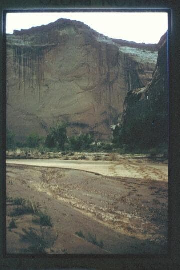 Wall opposite mouth of Roost Canyon