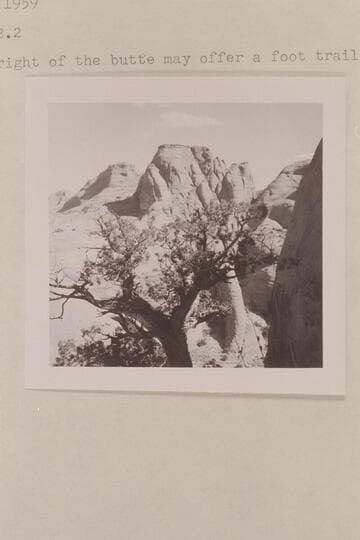 View back into middle fork of 73 from trail into southwest fork.  The gorge at right of the butte may offer a foot trail into northeast fork
