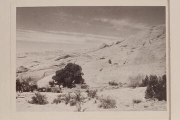 Base Camp north of Lehi Canyon