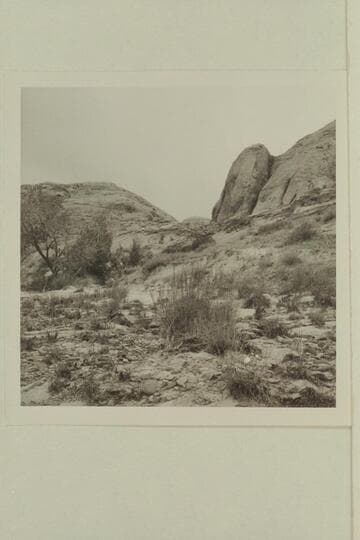 Side canyon of southwest fork of 73.6 which provides an access.  Anasazi camp sites are located here