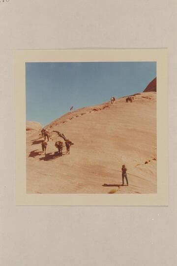 Masland photographs the stock on the trail north out of the side canyon at Mile 71.5