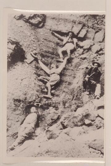 Three men measuring thickness of coal vein.  Two members of Parliament and Spencer.  Just east of Paria.  From Spencer collection A2.  Head of Warm Creek.  Muriel Pope and Charles Spencer identification 1957, Nov