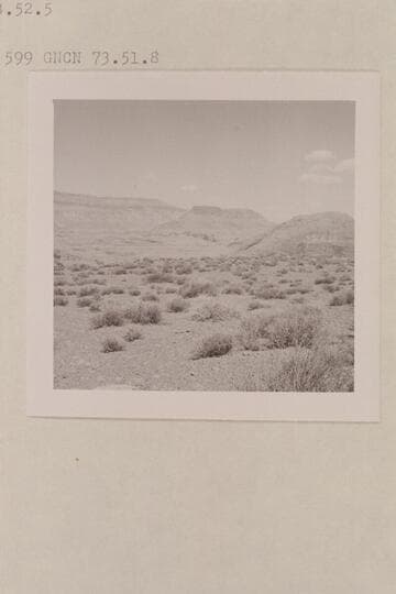 50 Mile Mountain and 60 Mile Point from plateau between the middle and the southwest fork of 73.  Similar to 599 GNCN 73.51.8