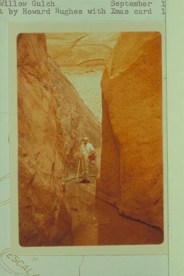 In Willow Gulch
