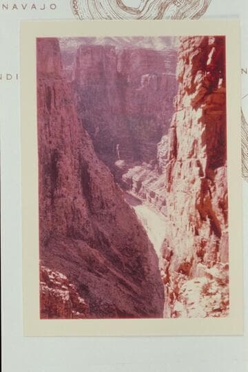 False Indian Maid Trail