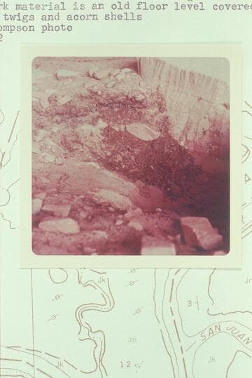 Basket Maker Cave above Hidden Passage Bar.  The dark material is an old floor level covered with oak twigs and acorn shells