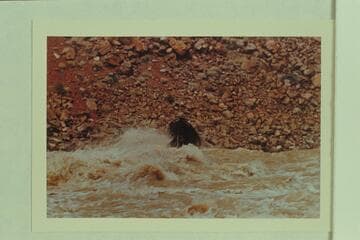 The "No Name" in Hance Rapid