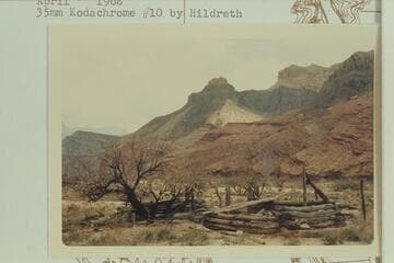 Ruin of log cabin at McCormick Mine below Chuar Rapid left bank