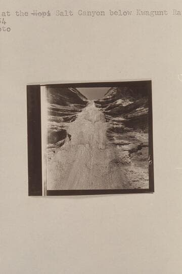 Salt Slick at the Salt Canyon below Kwagunt Rapid, Marble Canyon