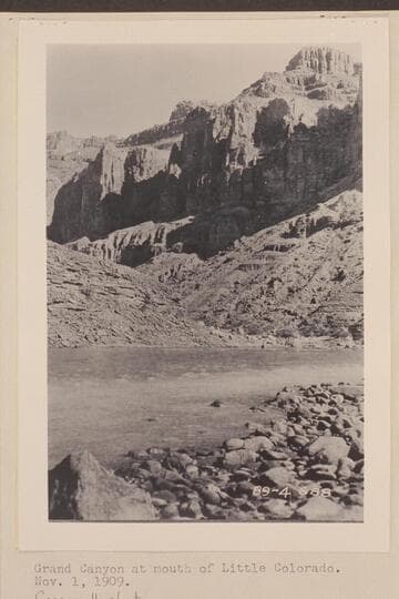 Grand Canyon at mouth of Little Colorado.  The mouth of the Little Colorado is the canyon to the left in the picture.  The galloway-Stone party found the Little Colorado limpid