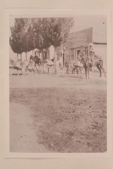 The store and hotel with pack train;  Wimmers sheep outfit- Thompson, Utah