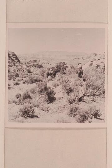 Mary Abbott on the trail to Rainbow Bridge.  Fifty Mile Mountain in distance, Cha Butte at right and Cha Canyon in middle distance