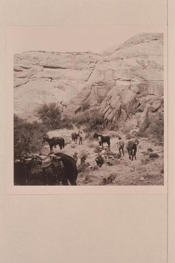 Packing at camp in Bald Rock; Junction; Cha Creek