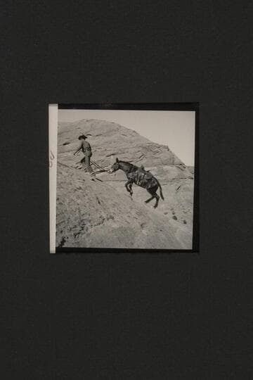 Baker on trail out from Moepitz Airfield