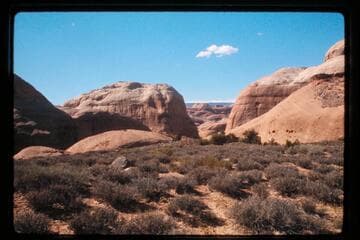 Down Nasja Creek from right bank trail