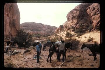 Camp in Bald Rock, Junction Creek