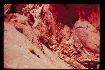 Trail between Bald Rock and Cha Canyons north of Cha Butte