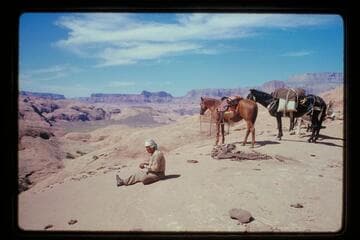 Sid Whiskers; Glen Canyon; Fifty Mile Mountain