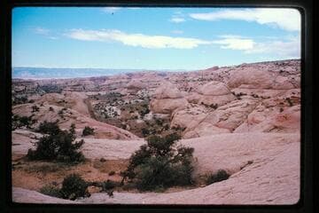 Fork of Stevens Creek from top of Waterpocket Fold