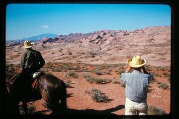 Waterpocket Fold and Navajo Mountain from Irontop Mesa