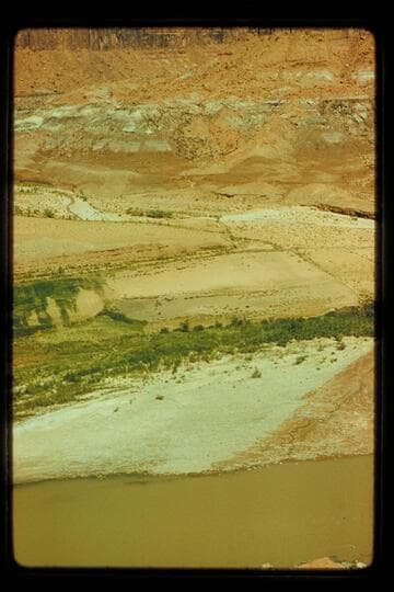 Trachyte Creek