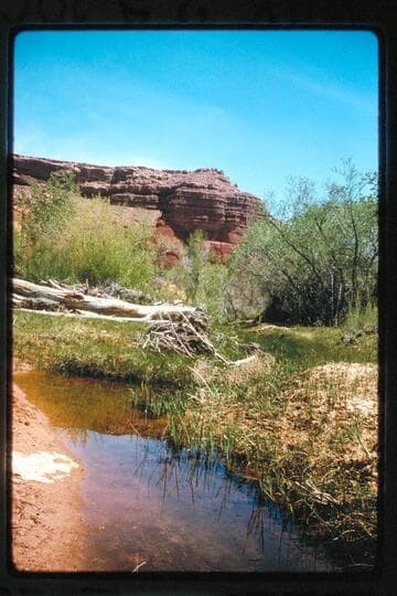 Tributary of Halls Creek near Baker's Ranch
