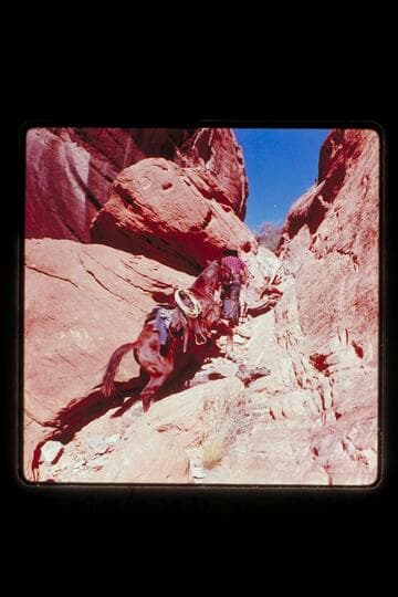 Trail between Bald Rock and Cha Canyons