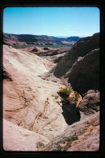 Water pockets below bridge in tributary; Halls Creek near Baker's Ranch