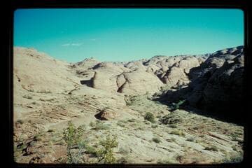 Trail out of Moepitz Canyon