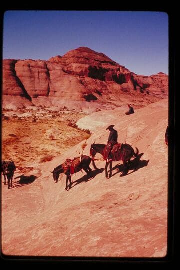 Trail between Moepitz Airfield and north of 5014