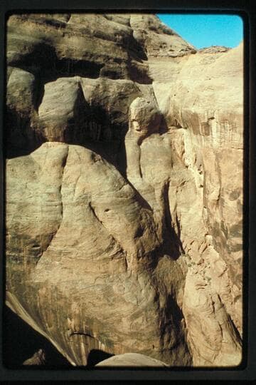 Canyon, Mile 73.6 below the forks