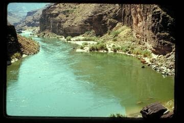 Mile 137.5, looking upstream