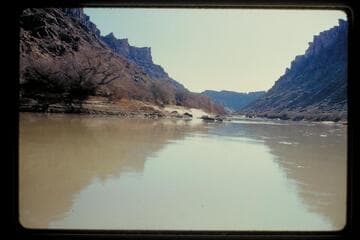 Down from above junction