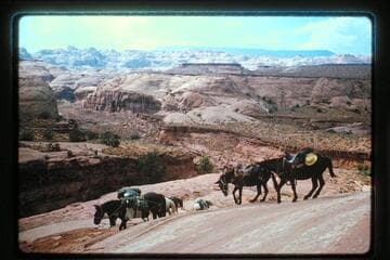 Down Bald Heads into Bald Rock Creek