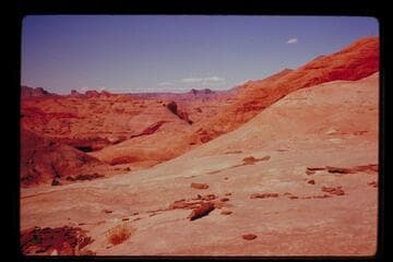 Down Black Water Creek