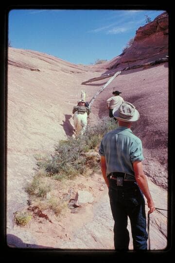 Horse in a pocket, Moepitz Canyon