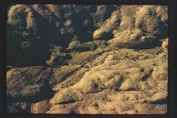 Down to the cactus flat