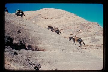 En route out of Moepitz Canyon