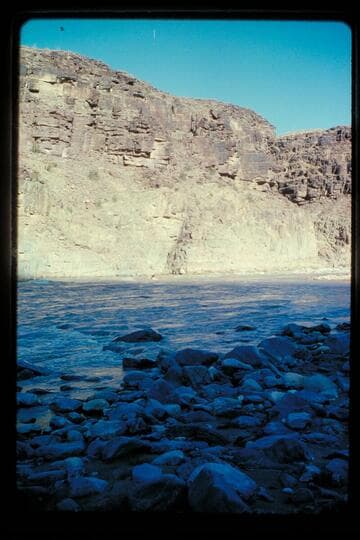 Garth runs yak and camera, 217 Mile Rapid