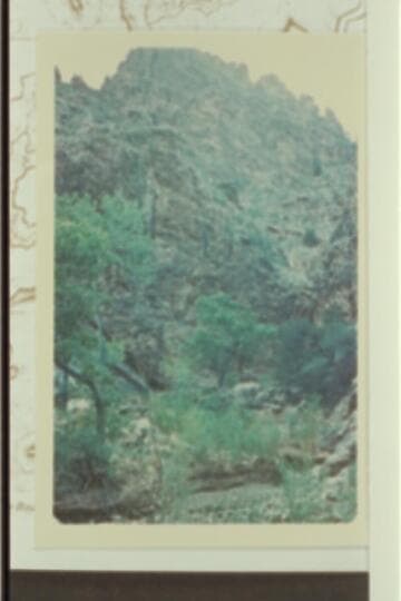 The bed of Crystal Creek above the mouth of Dragon Creek showing no flood damage from the flow of 1966, Dec