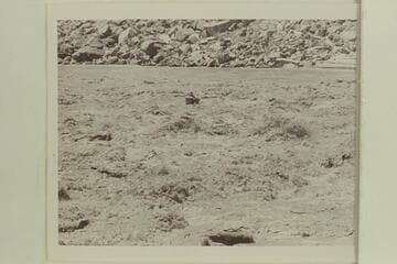 Nevills oaring smaller Reclamation boat through Badger Creek Rapid
