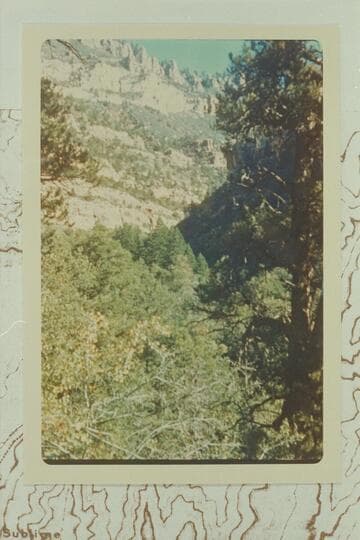 Route into Crystal Creek