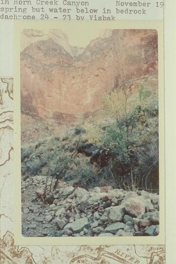 Spring in Horn Creek Canyon. Dry at spring but water below in bedrock