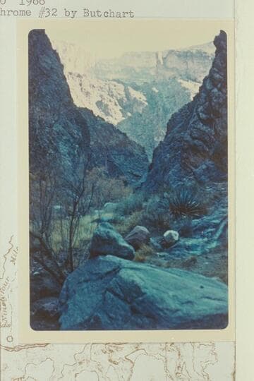 Up Salt Creek to descent route