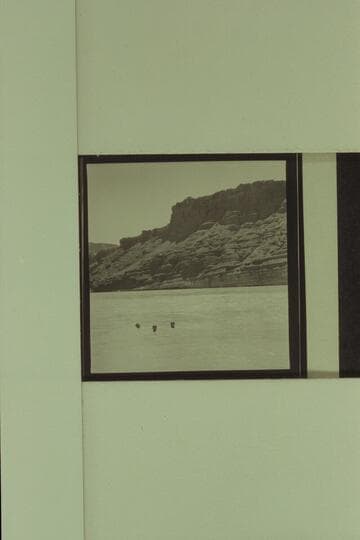 Swimming at Paria Riffle